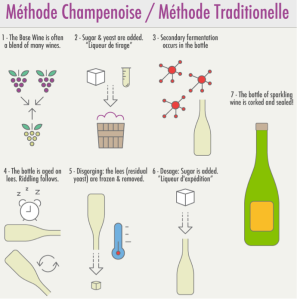Step by Step - Von der Traube zum Champagner.